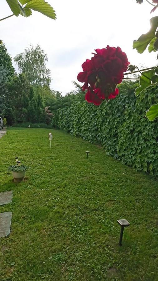 Апартаменти Liliana Vendeghaz Балатонфюзфе Екстер'єр фото